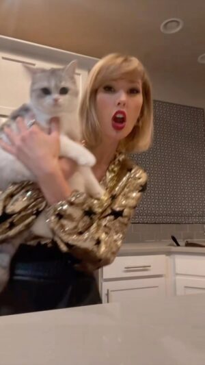 Ashley Leechin Instagram - “What are you doing to me hooman?!” 😹😹😹

#cardib #catsofinstagram #justashleyathome