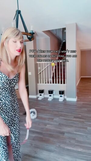 Ashley Leechin Instagram - They would rather play with their own cat collars than the toys I bought them 😭

#cats #catmom #catsofinstagram #justashleyathome