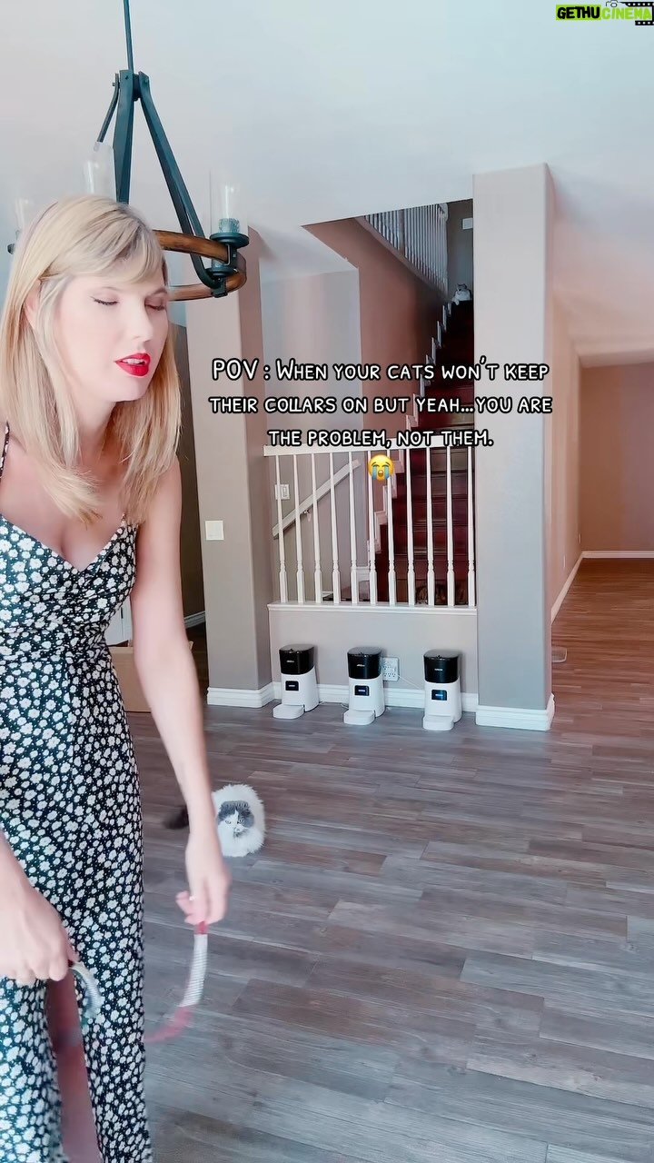 Ashley Leechin - 16.2K Likes - They would rather play with their own cat collars than the toys I bought them 😭
#cats #catmom #catsofinstagram #justashleyathome