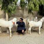Asim Azhar