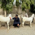 Asim Azhar