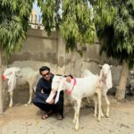 Asim Azhar