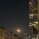 Assucena Assucena