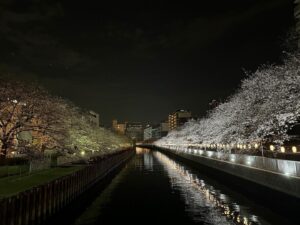 Atsushi Horie Instagram - #夜桜 という概念