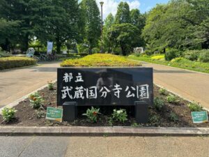 Atsushi Horie Instagram - 夏のようでしたな🌳