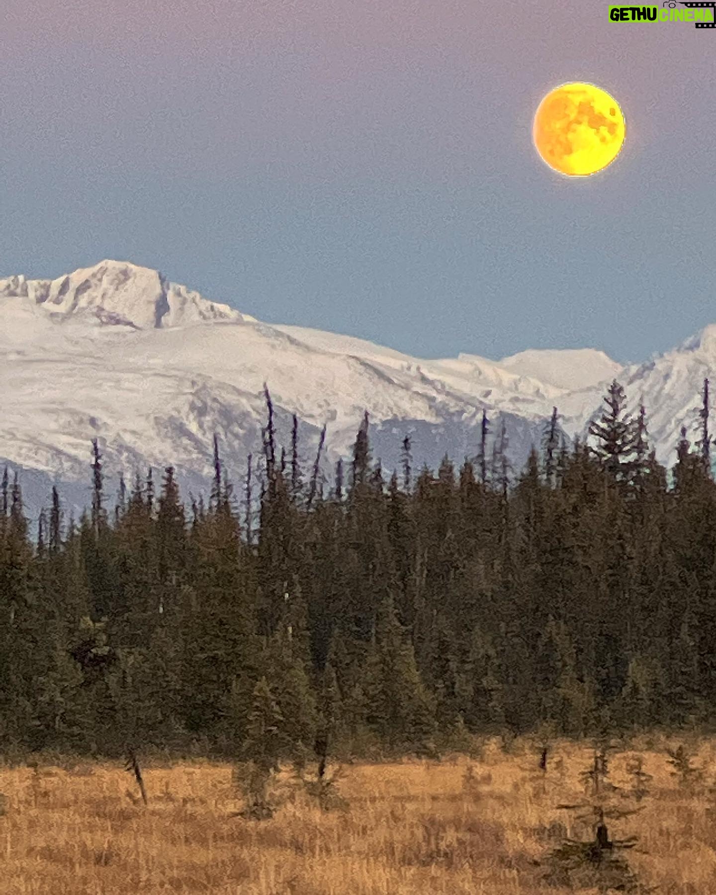 Atz Lee Kilcher - 6.7K Likes - Study of the moon. Or rather, I took some pics while Out and about. Anyhoo, enjoy.
#moon #Alaska #artsy #earthy #tasty #cheese