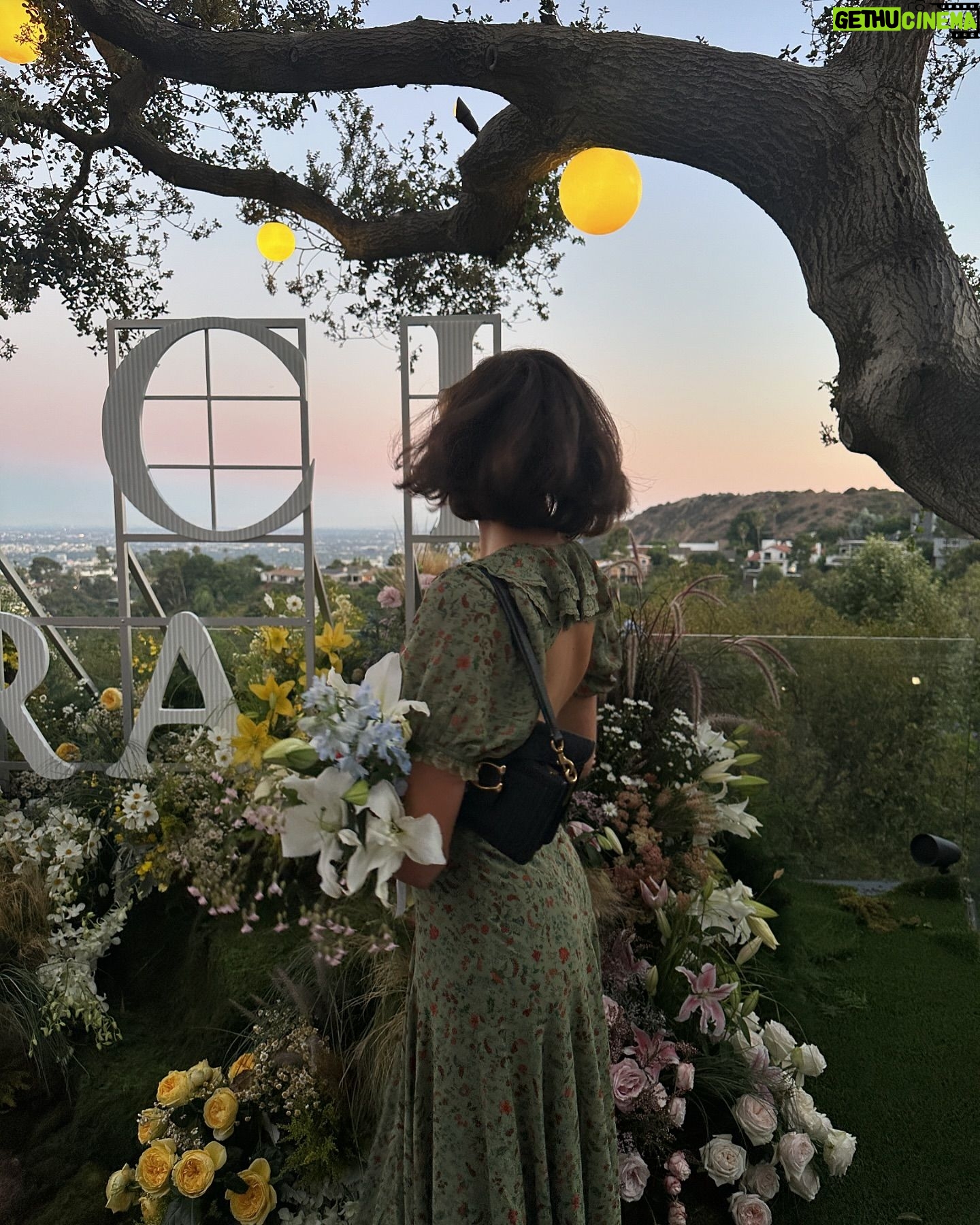 Ava Michelle - 29.4K Likes - Yes it smelled as good as it looks 💐 thank you for having me @gucci ✨
#gucciflora #guccibeauty