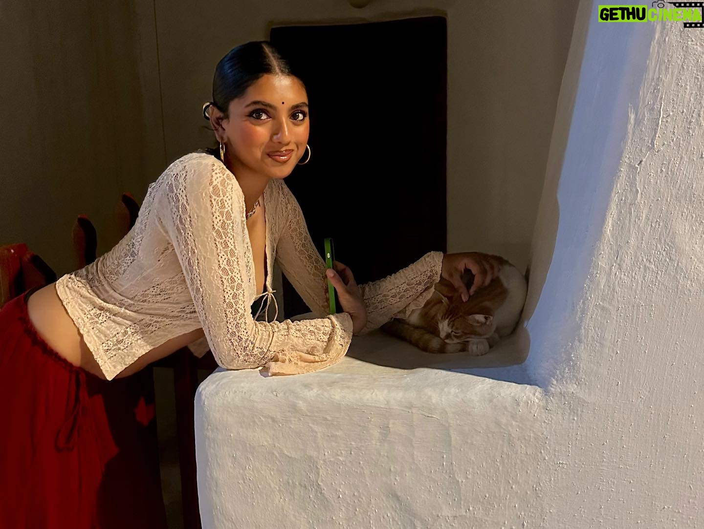 Avantika Vandanapu - 146.3K Likes - a feral cat meets other feral cats in mykonos!