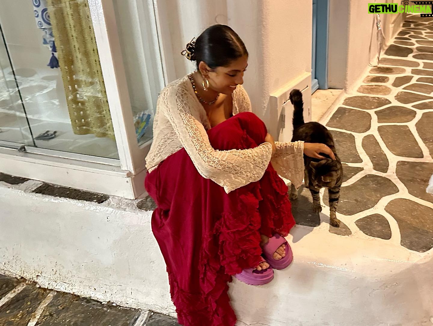 Avantika Vandanapu - 146.3K Likes - a feral cat meets other feral cats in mykonos!
