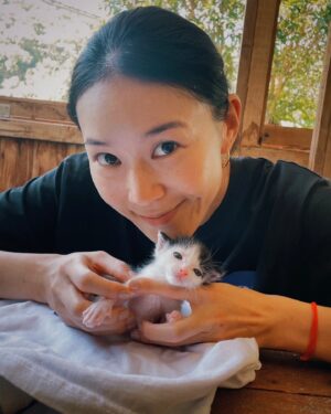 Aviis Zhong Instagram - Bucca走後一個月，因緣際會接手了6隻奶貓，眼還未開，還看起來灰頭土臉的，我當了一陣子的中途媽媽，清掉了泥土和幾隻蟲蟲，親手餵奶和大家幫忙照顧幾乎無法出門，就像真的有了孩子一樣，直到臍帶疤掉下；看著他們一個一個找到主人被接走，還真的是捨不得，但每一個細心照顧的貓媽媽們都不斷和我聯繫並報告奶貓近況，真的謝謝大家的付出🤘🏻

而沒被挑到的最後一隻，我一直沒有很積極的找主人，因為，他真的是越看越像Angu，個性也很像Bucca，難道是⋯⋯⋯他們回來找我了嗎？

於是我決定⋯⋯收養他，所以，大家好，他叫做「歪比Wybie」，是我很喜歡的一部動畫片Coraline中的一個角色，總是穿著黑白相間的帥氣打扮，歪著頭騎著重機登場，個性古怪又溫暖，像極了Angu和Bucca的合體，如果是特殊的緣分來到，也許我該繼續閃亮另一個新生命。
Hello適應的很不錯，奶貓餓時叫個不停，還會幫忙去看一下，希望你們能一起快樂生活在一起，健康長大喔～Wybie❤️ 好愛好愛你喔～

#sorry那些最近約不到我出門的人
#catslover #賓士貓 #貓奴日常