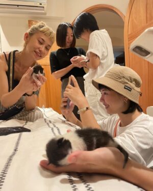 Aviis Zhong Instagram - Bucca走後一個月，因緣際會接手了6隻奶貓，眼還未開，還看起來灰頭土臉的，我當了一陣子的中途媽媽，清掉了泥土和幾隻蟲蟲，親手餵奶和大家幫忙照顧幾乎無法出門，就像真的有了孩子一樣，直到臍帶疤掉下；看著他們一個一個找到主人被接走，還真的是捨不得，但每一個細心照顧的貓媽媽們都不斷和我聯繫並報告奶貓近況，真的謝謝大家的付出🤘🏻

而沒被挑到的最後一隻，我一直沒有很積極的找主人，因為，他真的是越看越像Angu，個性也很像Bucca，難道是⋯⋯⋯他們回來找我了嗎？

於是我決定⋯⋯收養他，所以，大家好，他叫做「歪比Wybie」，是我很喜歡的一部動畫片Coraline中的一個角色，總是穿著黑白相間的帥氣打扮，歪著頭騎著重機登場，個性古怪又溫暖，像極了Angu和Bucca的合體，如果是特殊的緣分來到，也許我該繼續閃亮另一個新生命。
Hello適應的很不錯，奶貓餓時叫個不停，還會幫忙去看一下，希望你們能一起快樂生活在一起，健康長大喔～Wybie❤️ 好愛好愛你喔～

#sorry那些最近約不到我出門的人
#catslover #賓士貓 #貓奴日常
