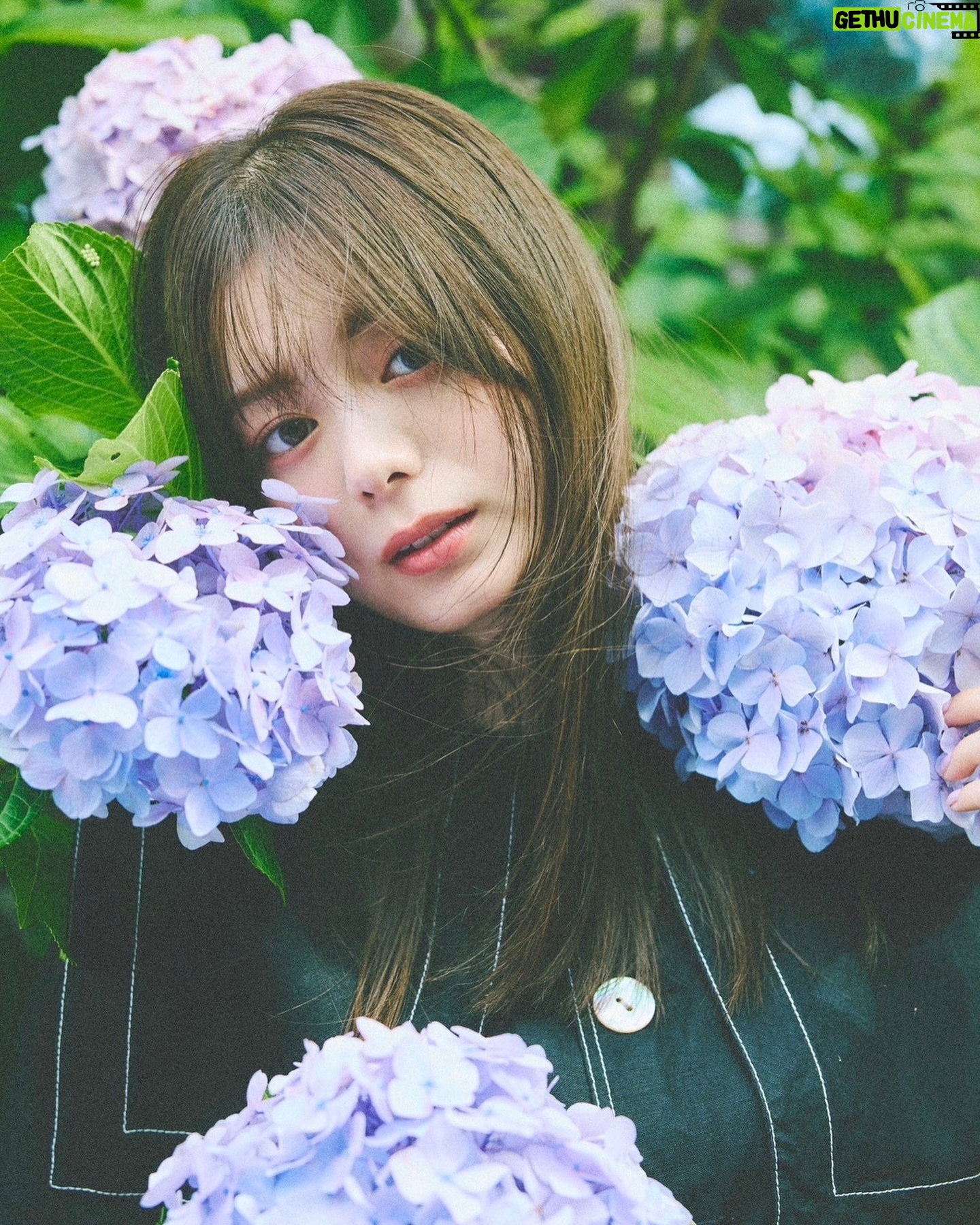 Ayaka Konno - 25K Likes - 今年はなぜか見かけることが少なかった紫陽花と📷
@endoyuki
@minami.kobayashi
@nanako_fujinaka