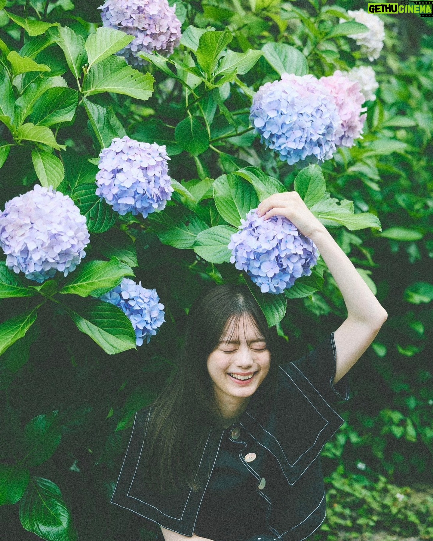 Ayaka Konno - 25K Likes - 今年はなぜか見かけることが少なかった紫陽花と📷
@endoyuki
@minami.kobayashi
@nanako_fujinaka