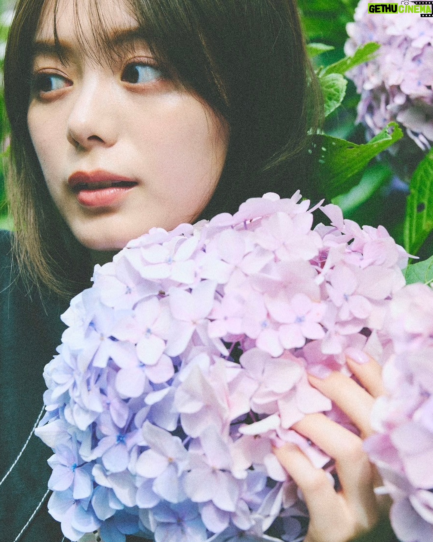 Ayaka Konno - 25K Likes - 今年はなぜか見かけることが少なかった紫陽花と📷
@endoyuki
@minami.kobayashi
@nanako_fujinaka