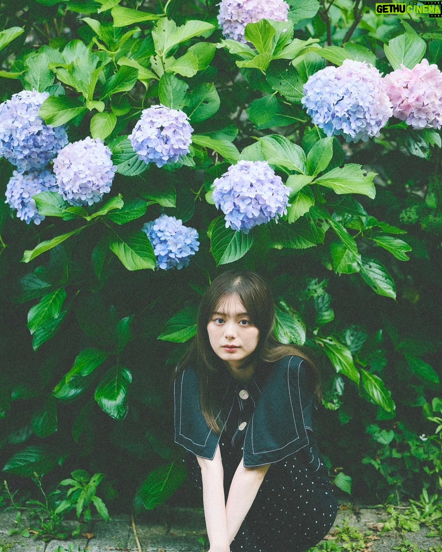 Ayaka Konno - 25K Likes - 今年はなぜか見かけることが少なかった紫陽花と📷
@endoyuki
@minami.kobayashi
@nanako_fujinaka