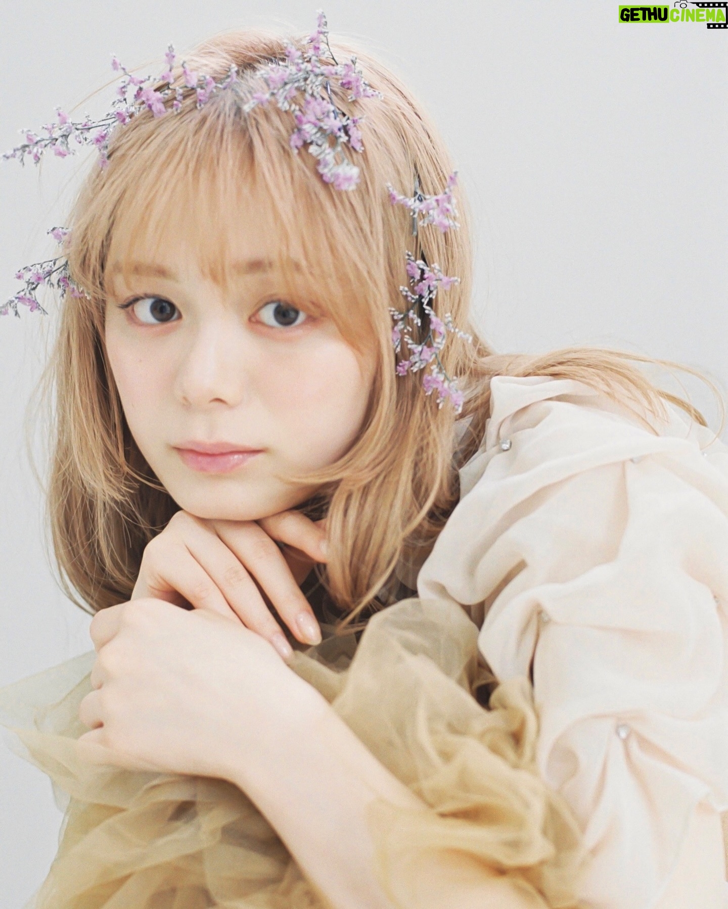 Ayaka Konno - 26.3K Likes - ハイトーンの時にした撮影🤍💐