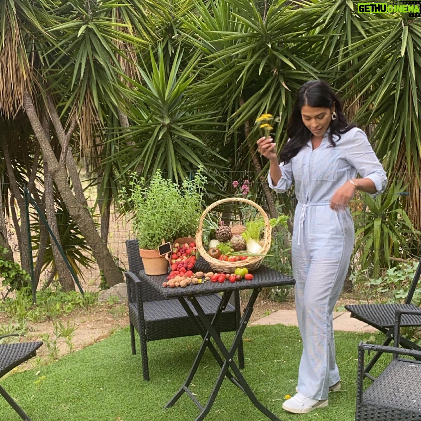 Ayem Nour - 3 Likes - Je vous souhaite une belle journée ...☀️
Au programme ...
Douceur ,Nature , Healthy Food,développement personnel et GRATITUDE...
N’est ce pas là une merveilleuse manière de s’aimer soi même et de prendre soin de notre âme ?
Mon Papa aime me citer cette célèbre phrase ...
L’amour le plus fidèle c’est l’amour propre !
Sacha Guitry.
Love U 💙
Merci
@inesmkup au make Up
@sarahh.ltr à la photo (ma stagiaire d’amour )
@lescanebiers_cassis pour le look