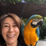 Ayşegül Ünsal