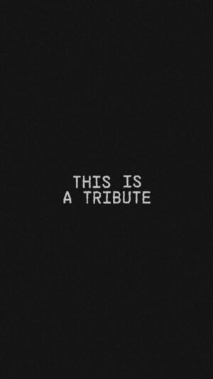 B-Front Instagram - THE TRIBUTE. A SONG ABOUT ALL THE GOOD TIMES WE HAD. DROPPING THIS FRIDAY. #enlightenment #hardstyle