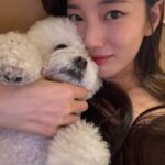 Bae Suzy