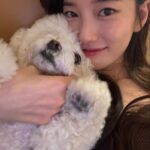 Bae Suzy