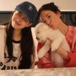 Bae Suzy
