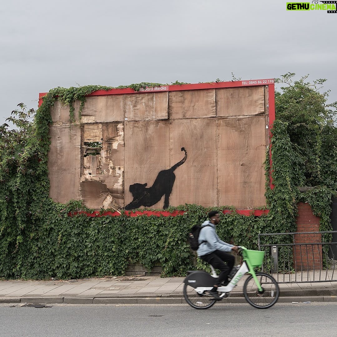 Banksy - 833.5K Likes -
