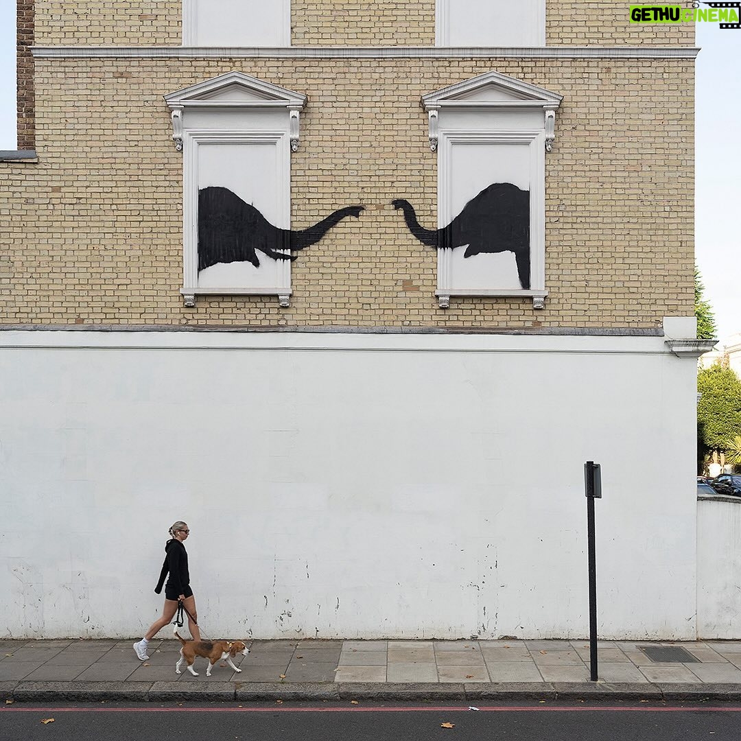 Banksy - 895.9K Likes -