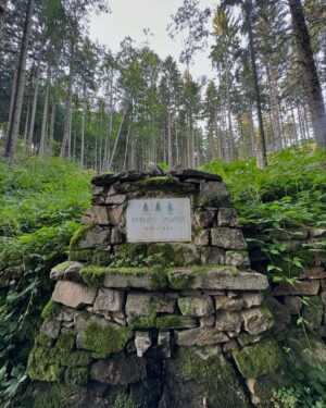 Barbora Poláková Instagram - Červenec... Skoro tři týdny v Jeseníkách 🌲🌲🌲🌲Loni jsem točila dokument o deseti lázeňských městech. Na některých místech jsem nebyla nikdy, na některých v dětství, každopádně jsem si díky tomu zmapovala a pořádně uvědomila naše léčivé přírodní zdroje ...termální, radonové, slatinné...moji rodiče do lázní nikdy moc nejezdili, spíš na túry do hor. Možná proto mě na první dobrou přitáhl zdroj, který vyžaduje hodně té vnitřní aktivity.

Klimatický. 

Chodit. Pít z pramenů. Máčet ruce a nohy ve studený vodě. Chodit. Zabalit se do hodně studenýho prostěradla, pak suchýho a pak vlněný deky. Na půl hodiny. Chodit. Pít z pramenů. Stát v lese pod studenou sprchou a křičet. Číst si o Priessnitzovi do čtyř do rána kousek od domu, kde bydlel a kde na všechny zábaly a koupele přicházel. Zjišťovat, co všechno vodou vyléčil a jak, kam se ty postupy ztratily a proč je dávno nepoužíváme jako samozřejmost (měla jsem v ruce i přepis originálu jeho “Rodinné knihy o vodě” ale švabach, takže #dikycau ). Všechno mě očarovalo. Lesy, prameny, vzduch, lázně i pololázně, “lázeňští”, kteří o hosty pečují laskavě a se kterýma jsem často vedla o Priessnitzovi debaty, pan primář, který důkladně skenuje ducha a připomíná, že výjimka potvrzuje pravidlo a Katka i Katka, naše nové kamarádky❤️ Díky recepčním i hostům, kteří nám pomáhali najít ztracenou láhev 😀 a díky všem, co přišli na promítání Broučka 🥰🚗 Děkujeme a můžete si za to sami, že se nám už teď stýská!!!
