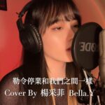 Bella Yang