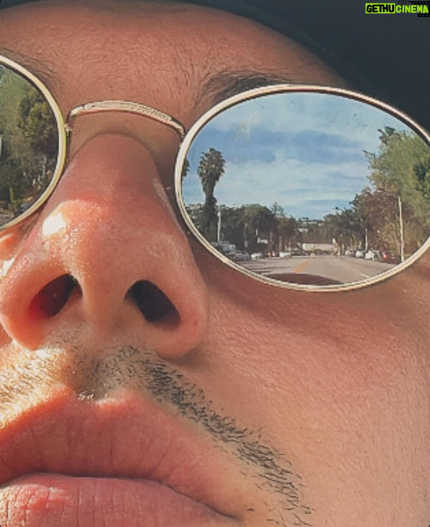 Belmont Cameli Wiki Biography Age Gallery Spouse And More