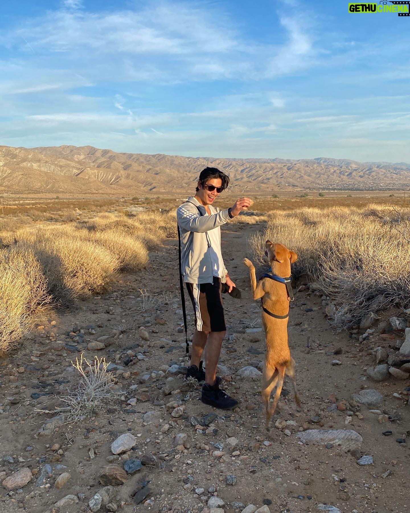 Ben Levin - 7.5K Likes - stray from the pack
stay on the path