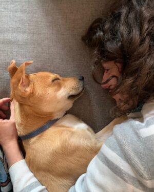 Ben Levin Instagram - first pet ever alert. meet our new pup MIRÓ 
I get it now: dogs make life better