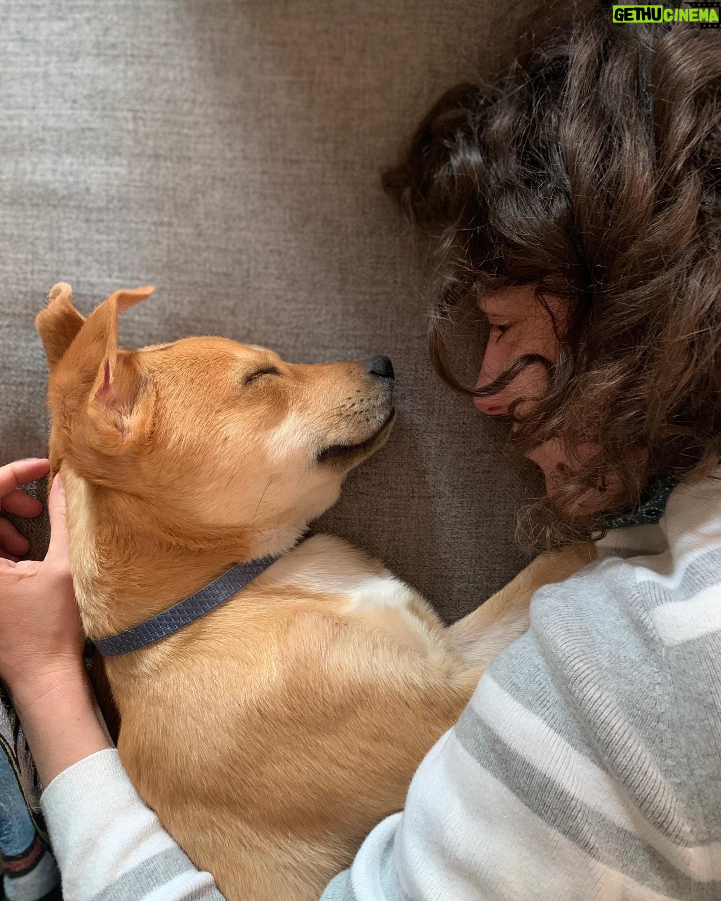 Ben Levin - 6K Likes - first pet ever alert. meet our new pup MIRÓ
I get it now: dogs make life better