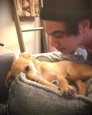 Ben Levin Instagram - first pet ever alert. meet our new pup MIRÓ 
I get it now: dogs make life better