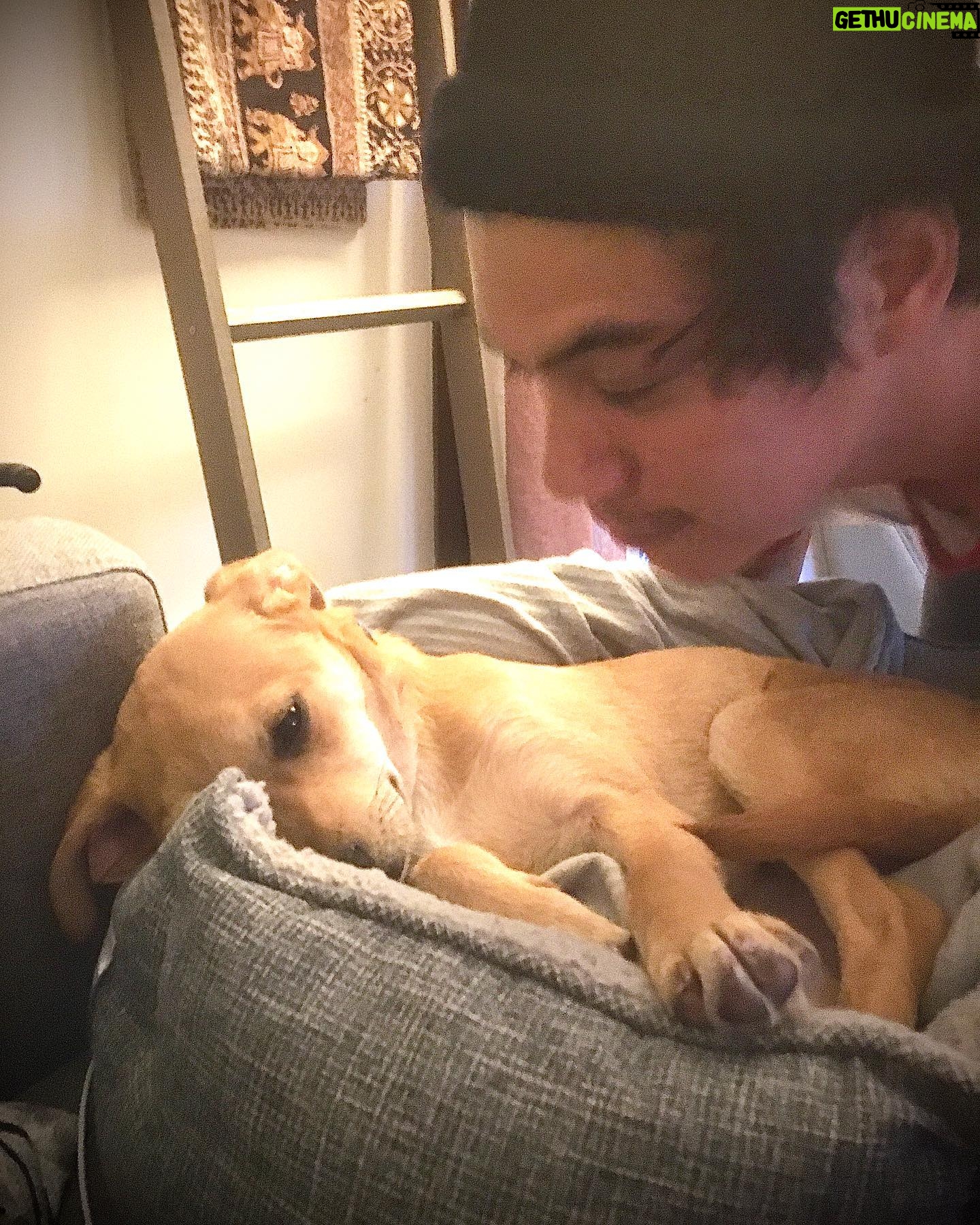 Ben Levin - 6K Likes - first pet ever alert. meet our new pup MIRÓ
I get it now: dogs make life better