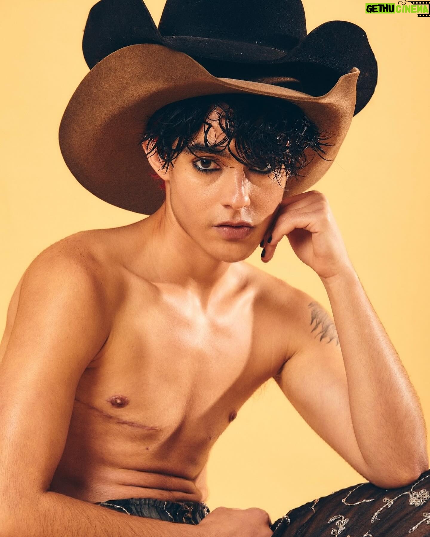 Benjamin Damini - 3 Likes - e foi assim que @showerofvibes e @leoaugusttoo criaram a estética agroemo 🤯