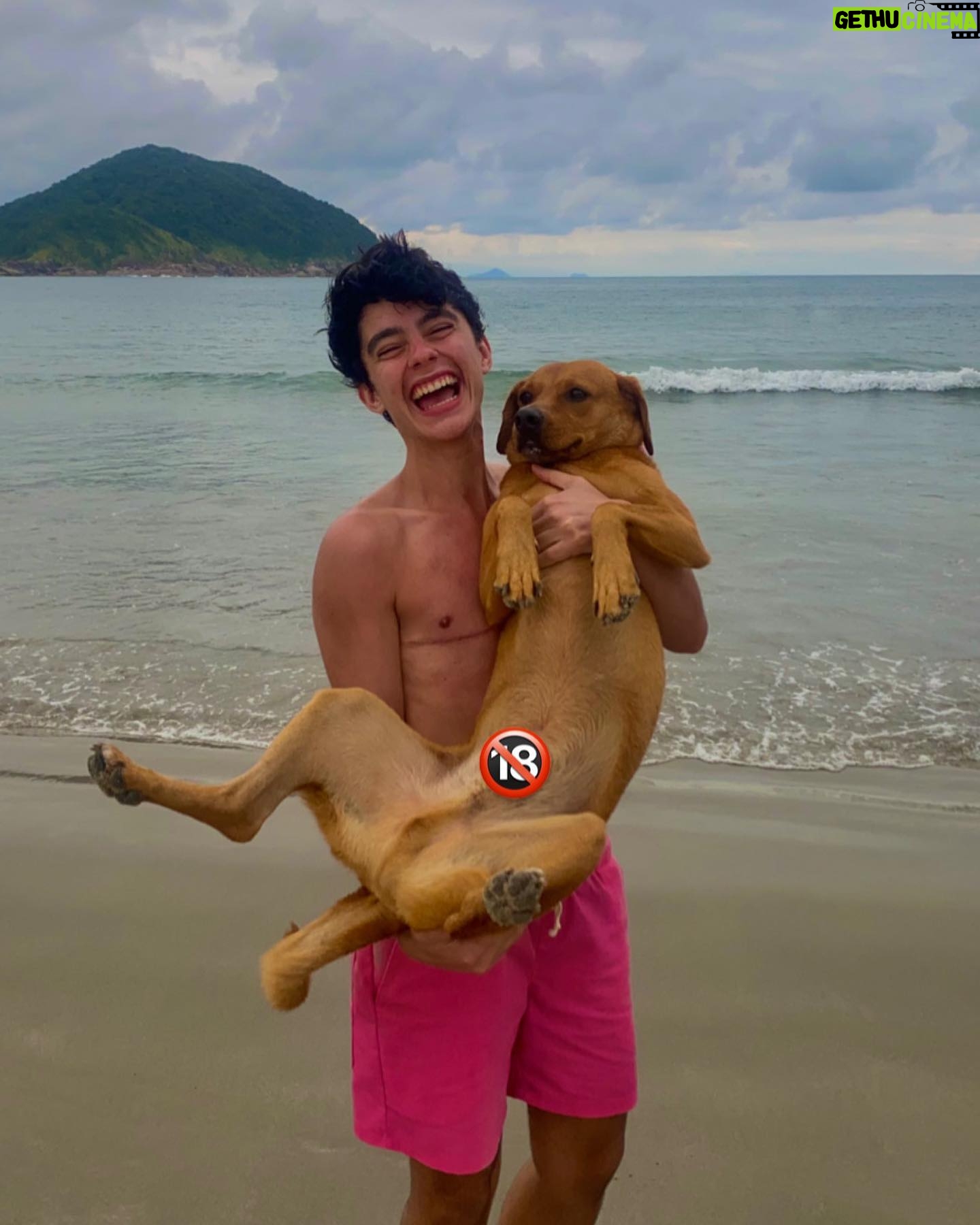 Benjamin Damini - 7.1K Likes - 🎉 feliz quadragésimo segundo benversário! 🎉
1. celebrando com pipoca doce y afetos
2/3. @artaudog conheceu a praia e entrou no mar pela primeira vez
4/5. mulheres que amo e admiro
6. de quem será o próximo ex feat. vira lata caramelo descompensado
7/8/9. memes artaudianos