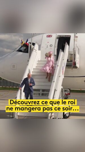 Bertrand Chameroy Instagram - Spoiler : découvrez tout ce que le roi Charles III ne mangera pas ce soir… 🙈

#CàVous @bertrand.cham #CaVous #CharlesIII #repas