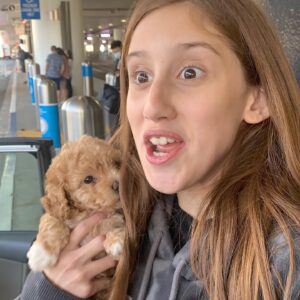 Bijan Ali Instagram - My Birthday Day Gift!! 
🐶 Ginger Amara Ali 🐶
.
.
.
.
#toypoodle
#ginger