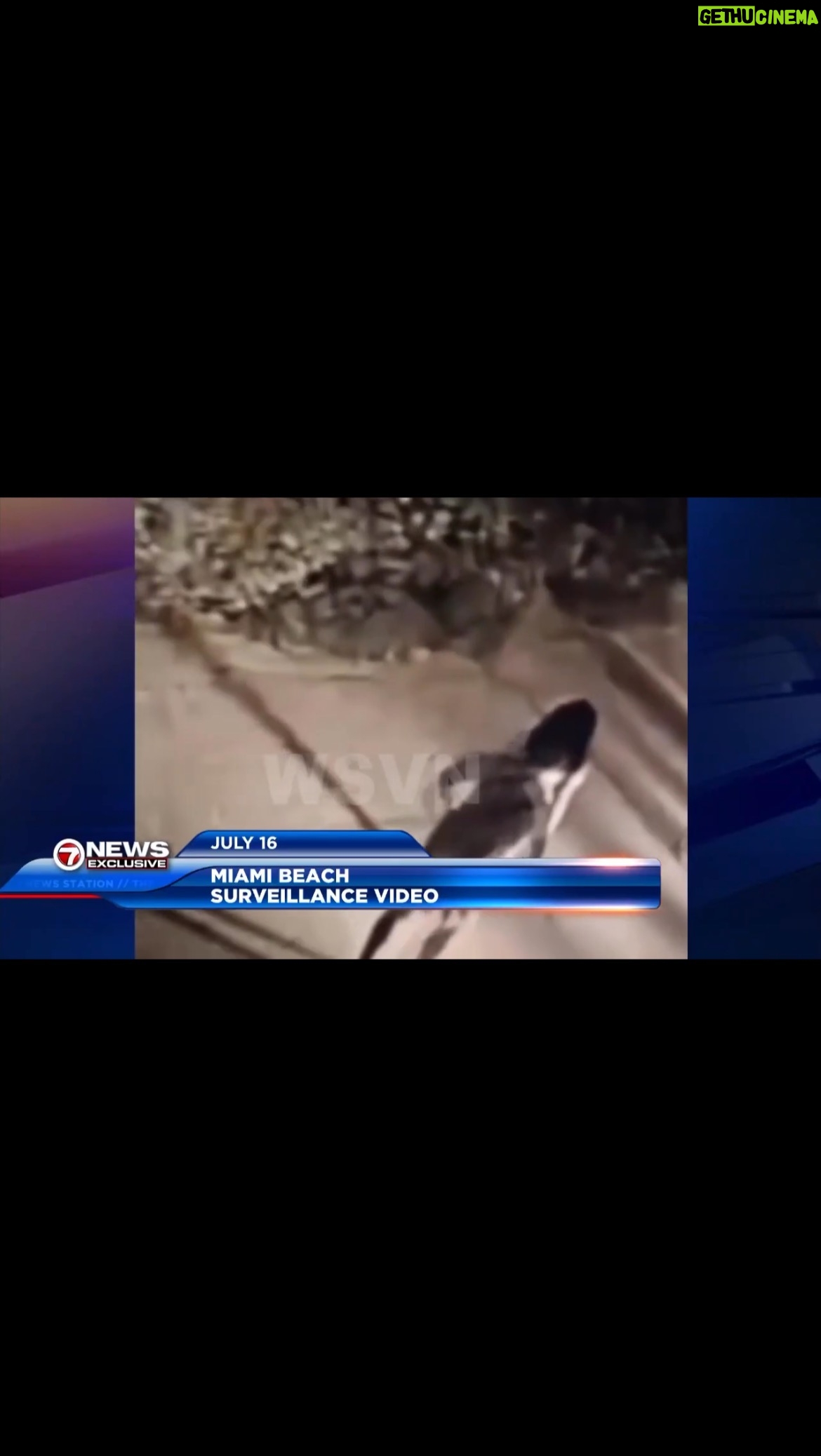 Billy Corben - 3 Likes - Accused sex pest Miami Beach Mayor Steven Meiner is pissed that WSVN helped arrest a known sex offender who brutally raped a rollerblader on the Beachwalk #BecauseMiami
Meiner now wants to prosecute cops for sharing information with the press that helped catch a man who allegedly committed a violent sexual assault in Miami Beach between 23rd and 24th streets on July 16. A video obtained by Miami’s Channel 7 news station shows a woman rollerblading when a male approaches her from behind, grabs, chokes, and throws her to the ground — then pulls her into the bushes, where she says he sexually assaulted her.
The arrest warrant even credits the media with helping police to identify the suspect: “Chief Luke Plesa, of the Sunny Isles Police Department, saw the news coverage of the incident and recognized the subject from recent police contact.”
Keith Hill Jr., a previously convicted sex offender from Illinois, was arrested by police in Hollywood, Florida and charged with sexual battery, giving a false ID to authorities, and failing to register as a sex offender.
Sources say there is an active Internal Affairs investigation by @miamibeachpd to identify and punish whoever helped catch this rapist by sharing information with the press.
@stevenmeiner resigned earlier this month from his 17-year job as an attorney at the SEC amidst an HR probe into sexual harassment claims by three women in the Miami office. He took a new job with a private company owned by the former CEO of a company who recently got a contract with the City of Miami Beach.
🎥 @sheldonfoxreporter