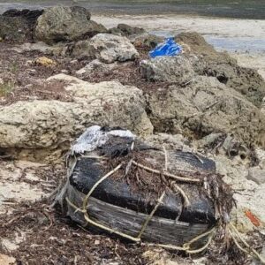 Billy Corben Instagram - White Lobster Alert: Florida Keys snorkeler discovered 25 bricks of cocaine — totaling 68 pounds — floating off the coast on Wednesday, reported the find to the Monroe County Sheriff’s Office and U.S. Border Patrol #BecauseFlorida
