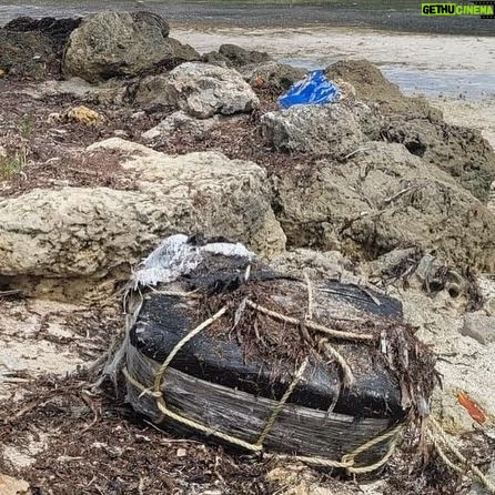 Billy Corben - 3 Likes - White Lobster Alert: Florida Keys snorkeler discovered 25 bricks of cocaine — totaling 68 pounds — floating off the coast on Wednesday, reported the find to the Monroe County Sheriff’s Office and U.S. Border Patrol #BecauseFlorida