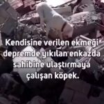 Binnaz Avcı