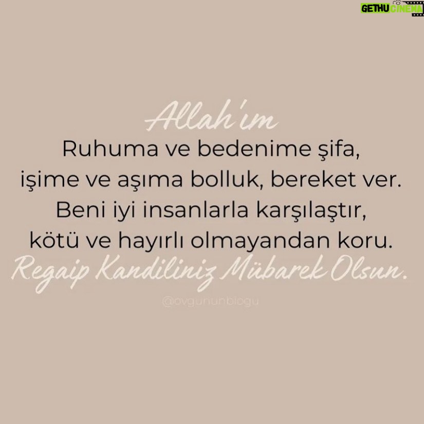 Binnaz Avcı - 502 Likes -
