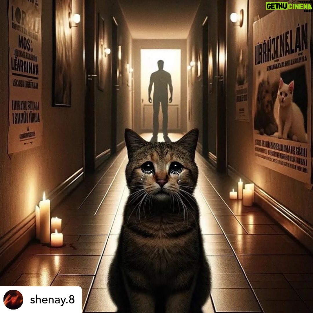 Binnaz Avcı - 393 Likes - Posted @withregram • @shenay.8 #erosicinadalet #ibrahimkeloglantutuklansın dedik günlerdir.Bir katil sokaklar da dolaşsın istemedik.Çocuklarımıza da aynı şeyi yapacak , kadınlarımıza da yapacak dedik , dinletemedik ‼️ Bu kararı verenler (6 dakika kediyi tekmeleyerek öldüren bir katile iyi hal veren ) , doğru düzgün hayvan hakları kanunları çıkarmayanlar , adalet sisteminin bu hale gelmesine sebep olanlar ………. Bugün hatta bu mübarek Ramazan ayında aldığınız ahların altından kalkamayacaksınız.