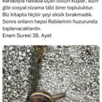 Binnaz Avcı