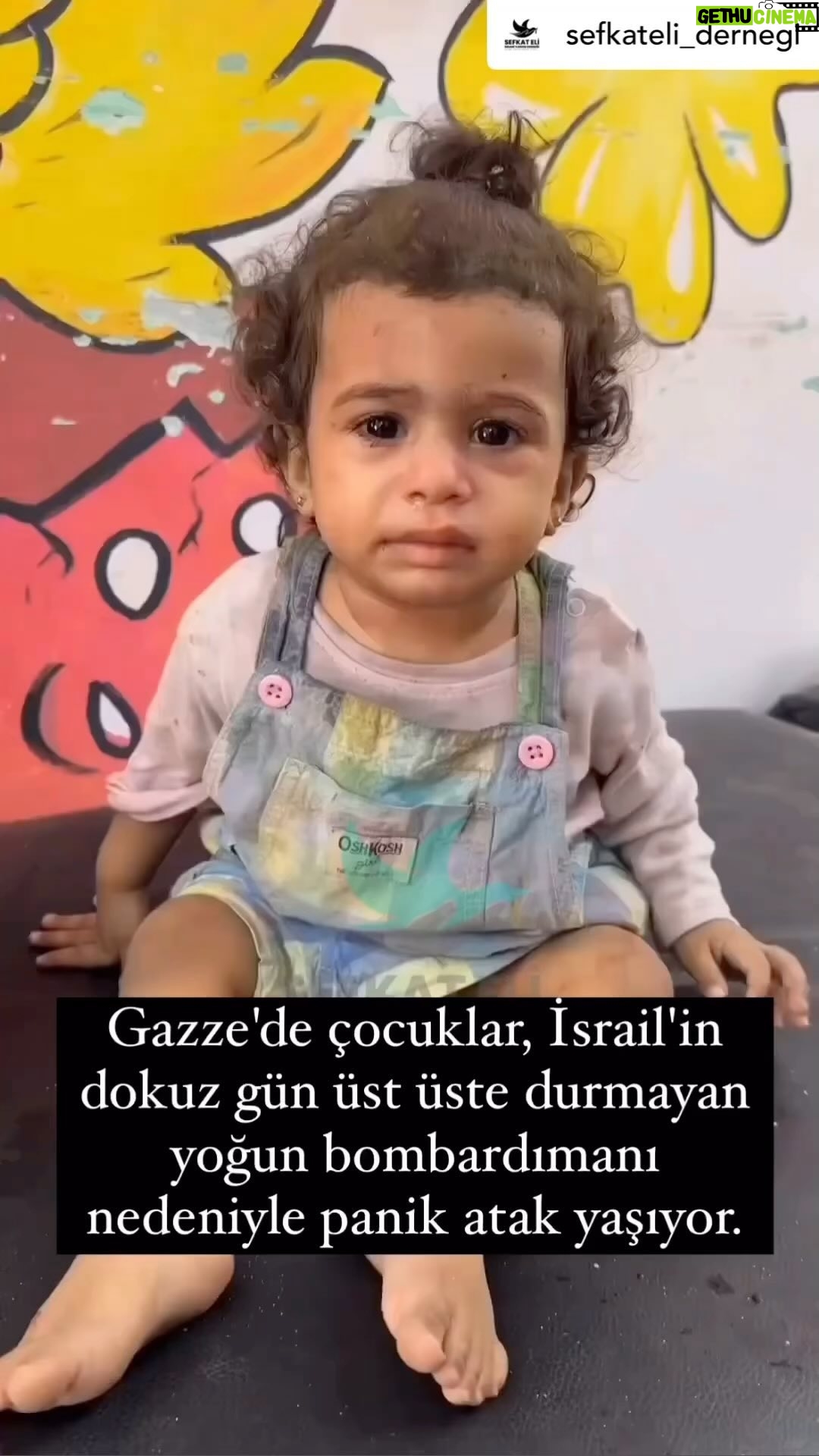 Binnaz Avcı - 758 Likes - Korkunç bir dönem bu ve biz ŞAHİT'İZ bunun ağırlığı çok fena ......