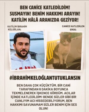 Binnaz Avcı Instagram - #ibrahimkeloglantutuklansın  ben UNUTAMIYORUM #ibrahimkeloğlantutuklansın