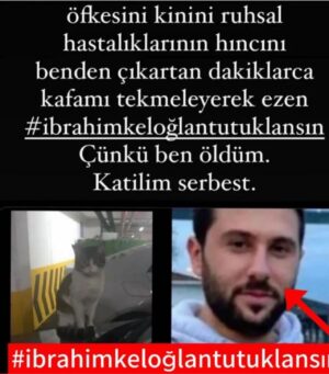 Binnaz Avcı Instagram - Rica ediyorum paylaşın ruh sağlığımı kaybetmek üzereyim zavallı hayvanların gördüğü zulüm yüzünden 😢 #ibrahimkeloglantutuklansın